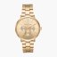 Dámské Hodinky Michael Kors MK8702