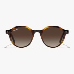 Sluneční brýle D.Franklin Ultra Light S Round Havana Brown 2