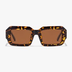 Slnečné okuliare D.Franklin Emblem GEO Tort : Brown 2